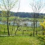 Wiese im Frühling am Wohlensee