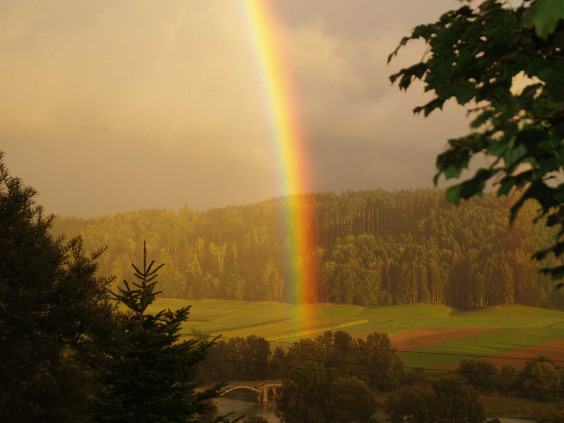 Regenbogen über dem Wohlensee
